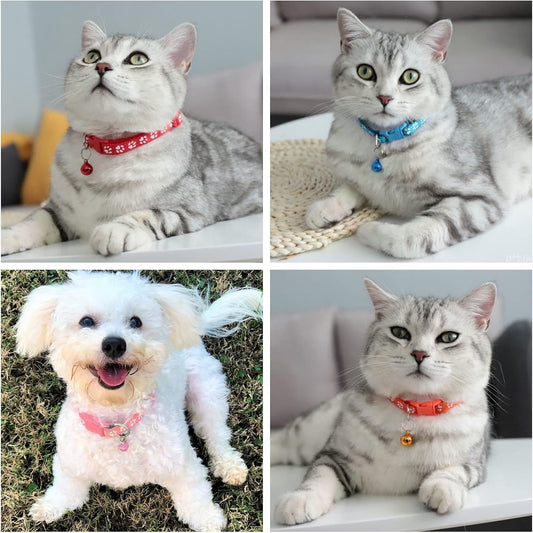 Paw Cat Collar