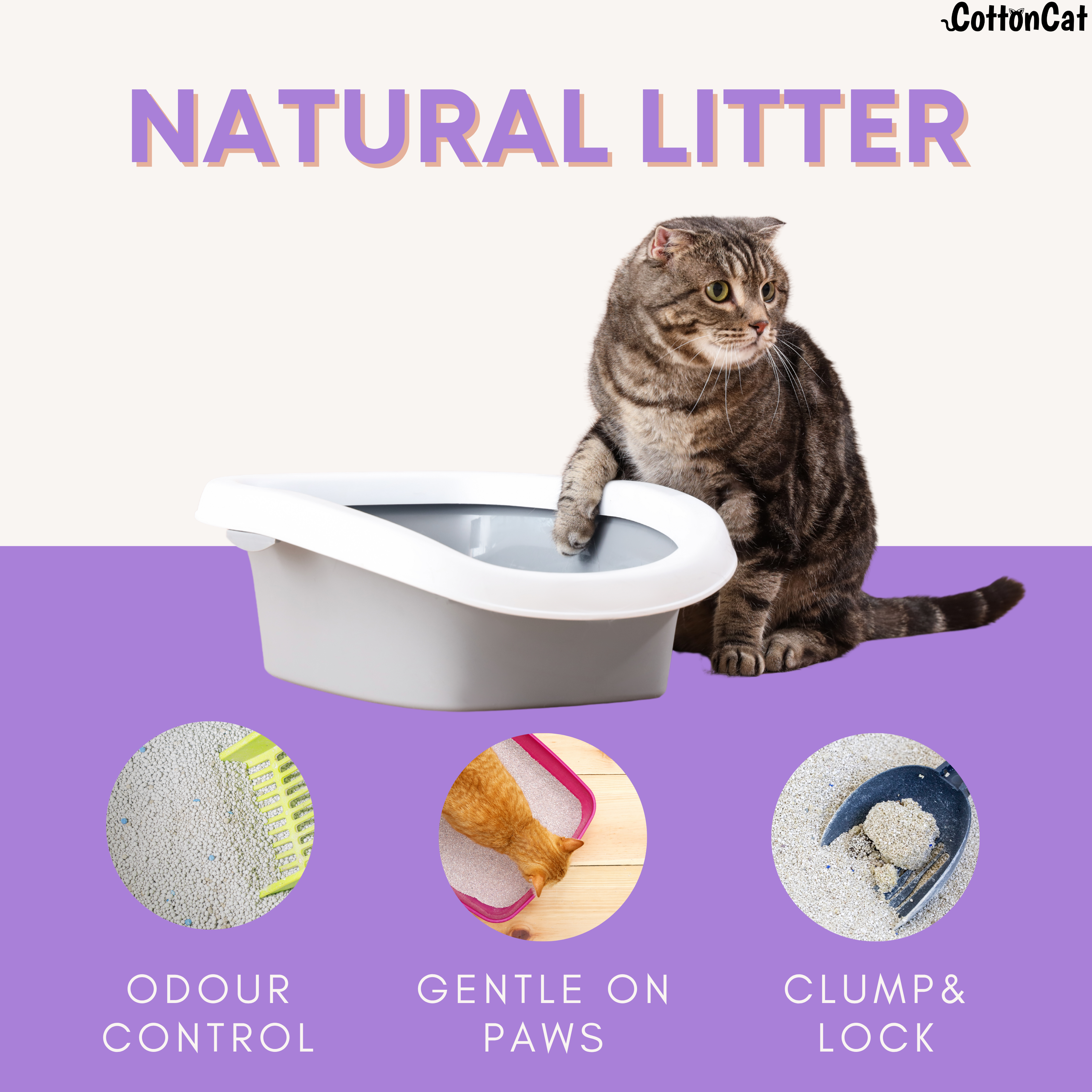 Lavender Natural Cat Litter