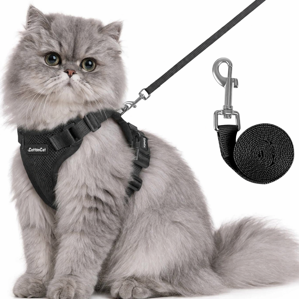 Cat Pro Harness
