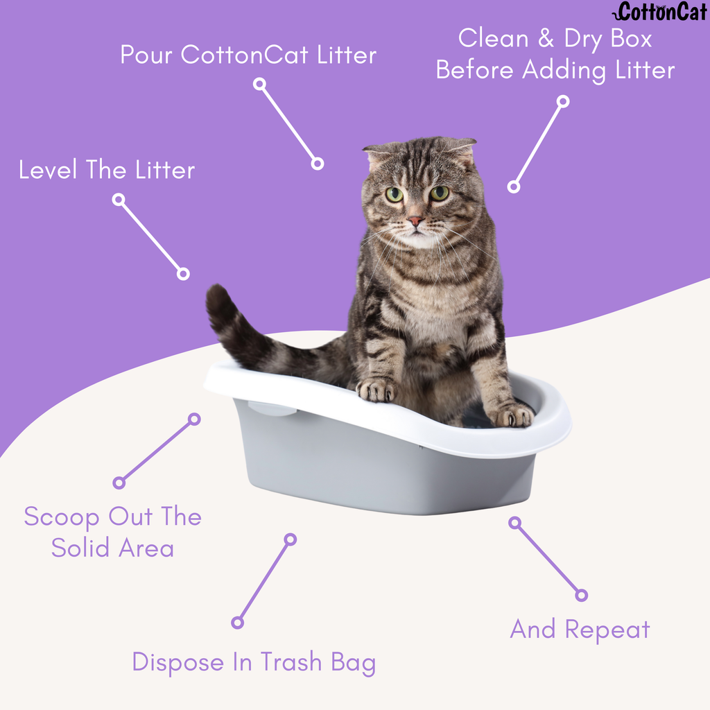 Lavender Natural Cat Litter