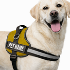 Personalized Dog Harness with Name & Phone Number Yellow