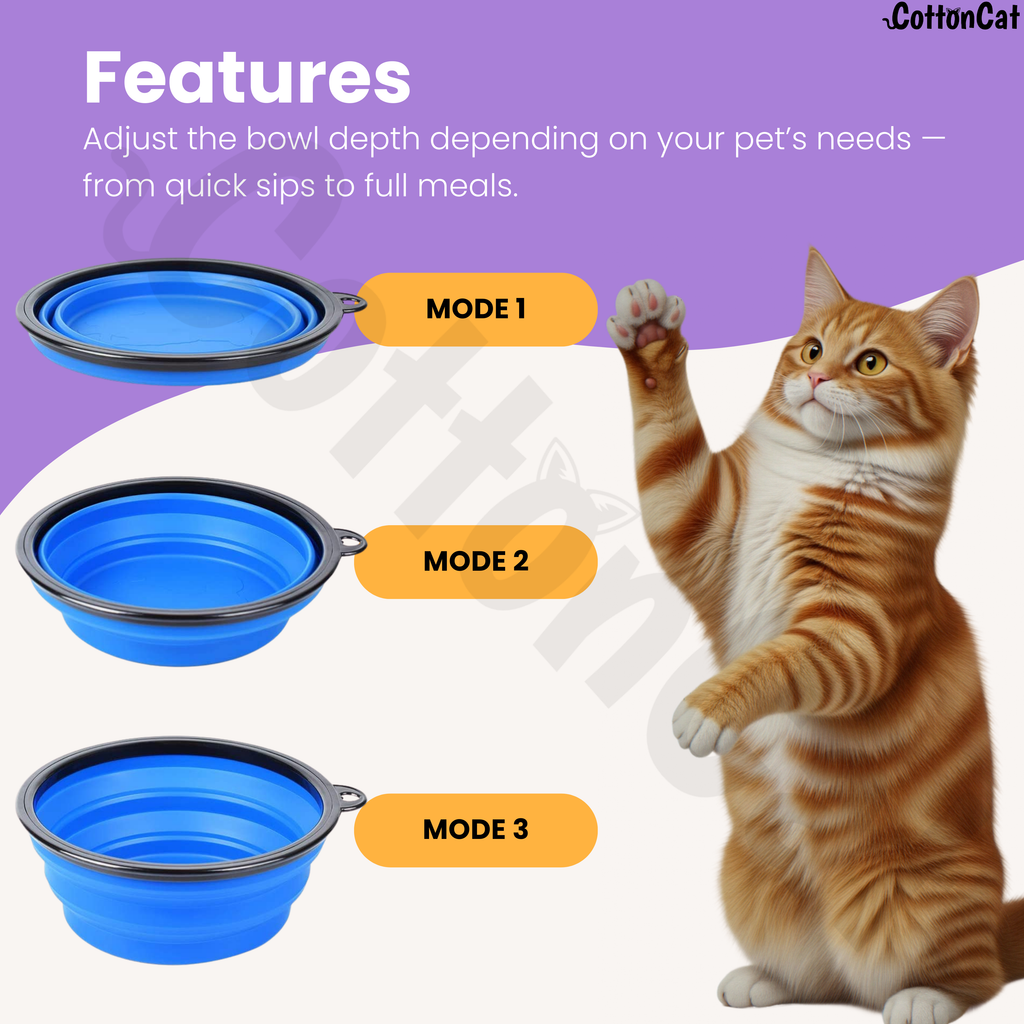 Portable/Travel Pet Bowl For Cats & Dogs