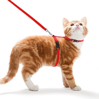 Cat Harness with Leash