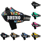 Personalized Dog Harness With Rope
