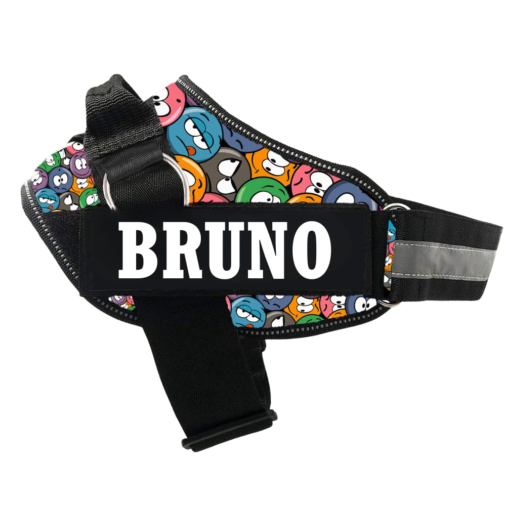 Personalized Dog Harness With Rope