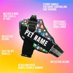 Personalized Dog Harness With Rope