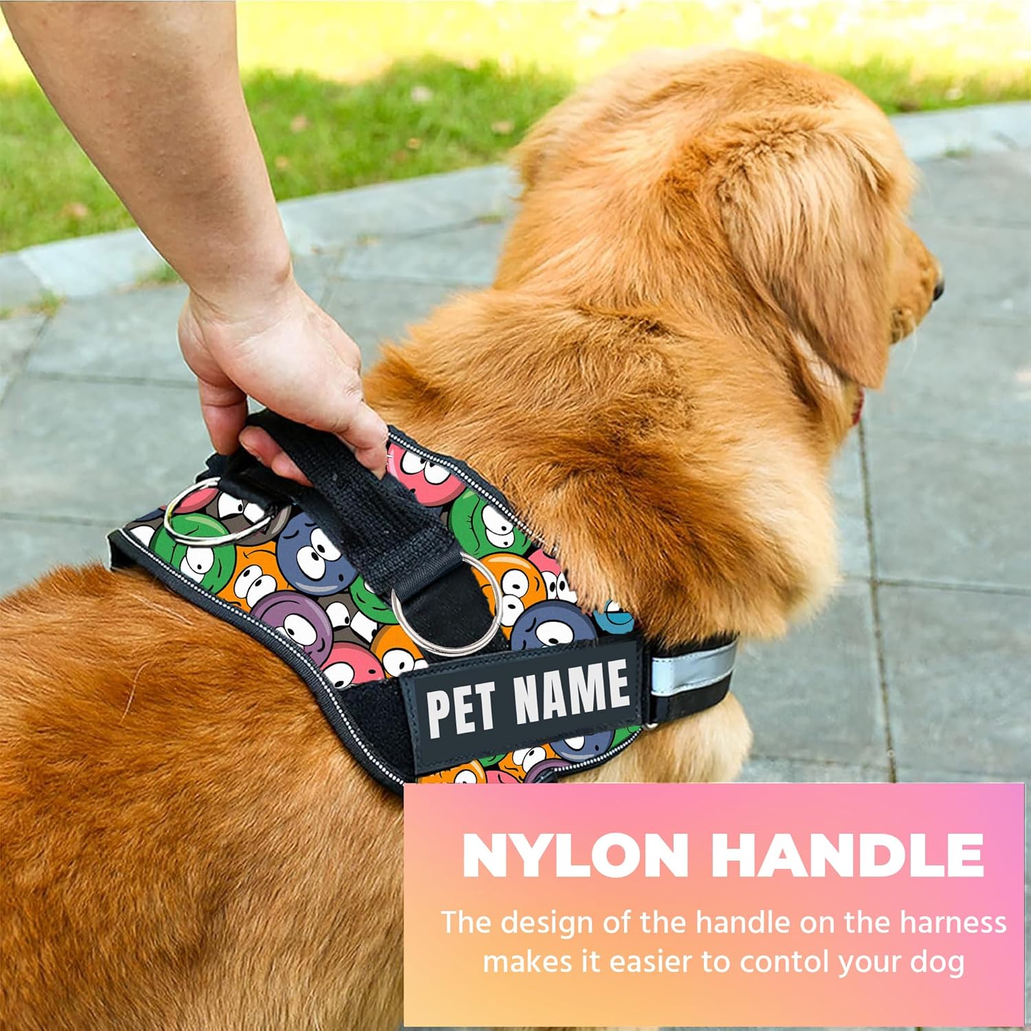 Personalized Dog Harness With Rope