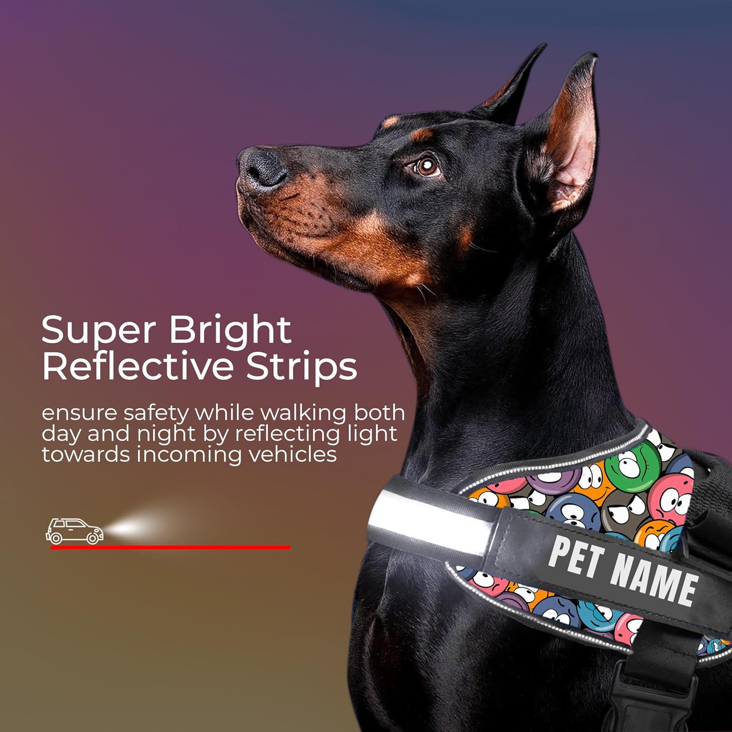 Personalized Dog Harness With Rope