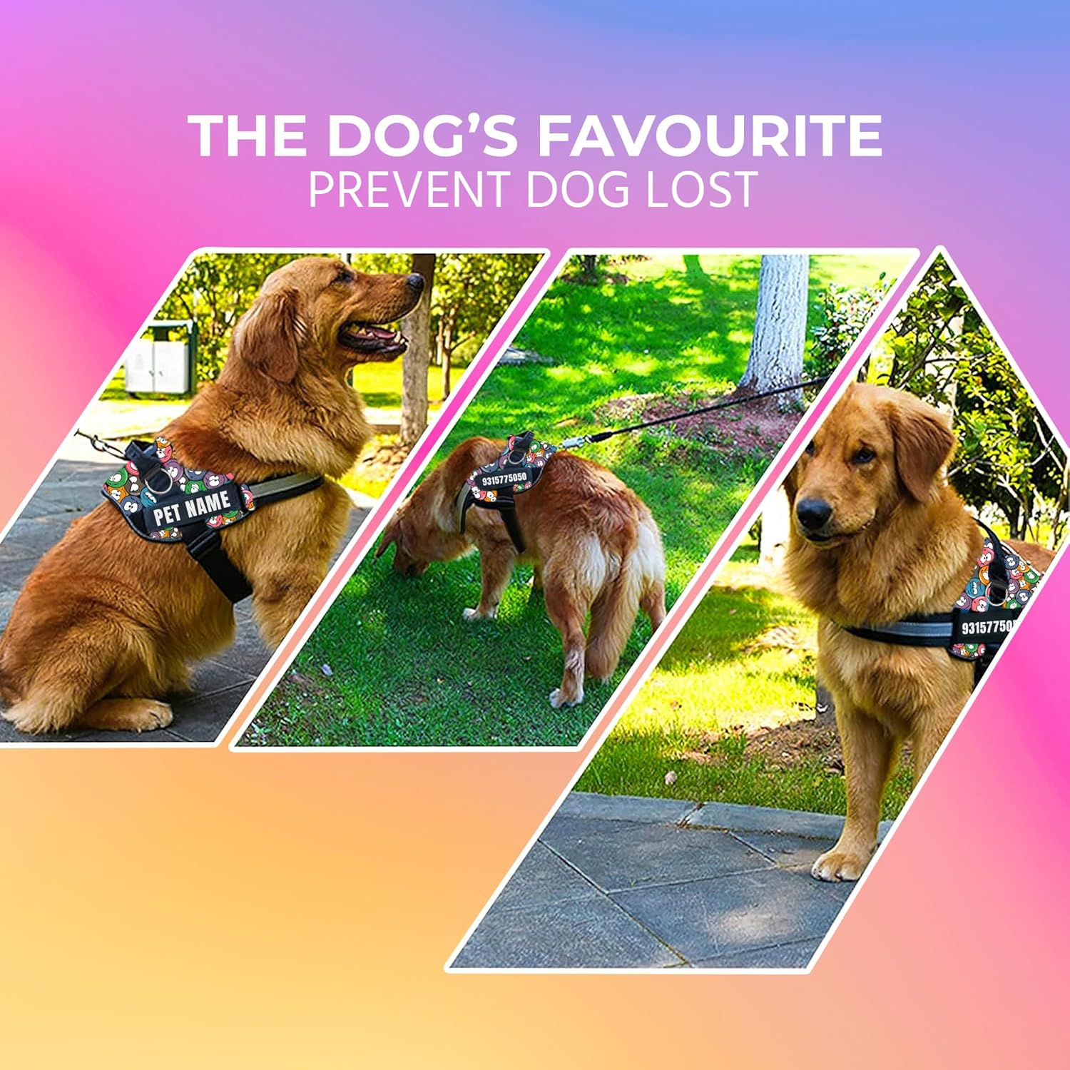 Personalized Dog Harness With Rope