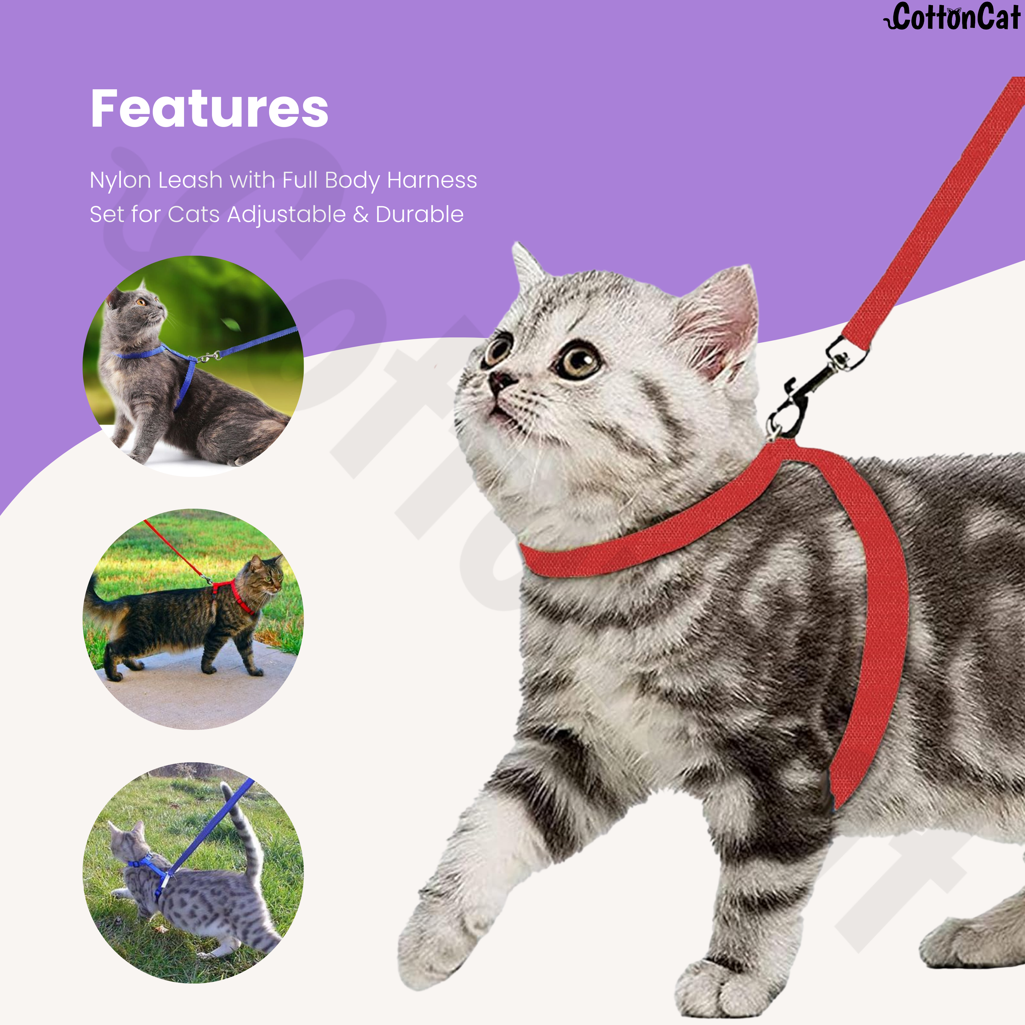 Cat Harness with Leash