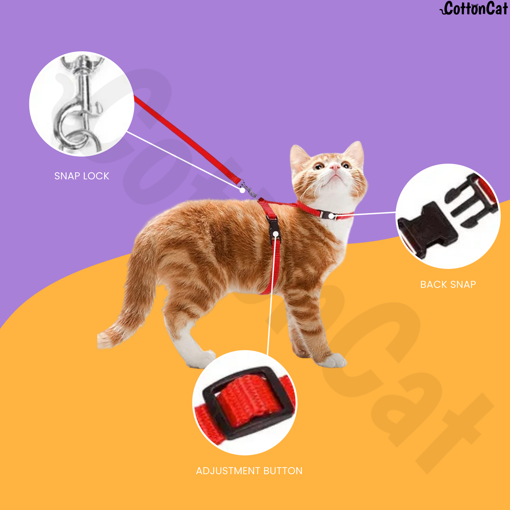 CottonCat Cat Harness Combo of 2