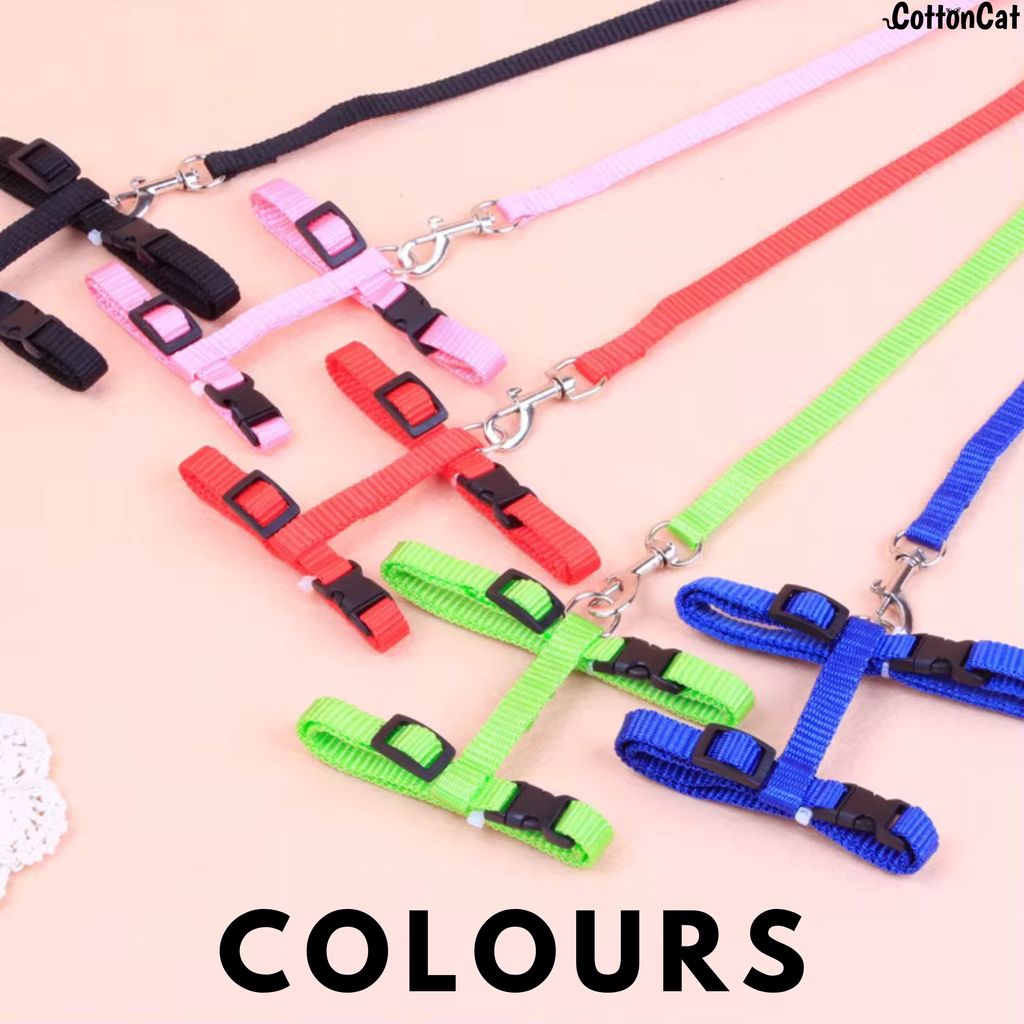 Cat Harness with Leash