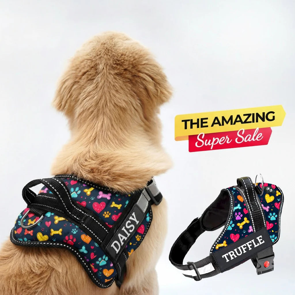 Personalized Dog Harness With Rope