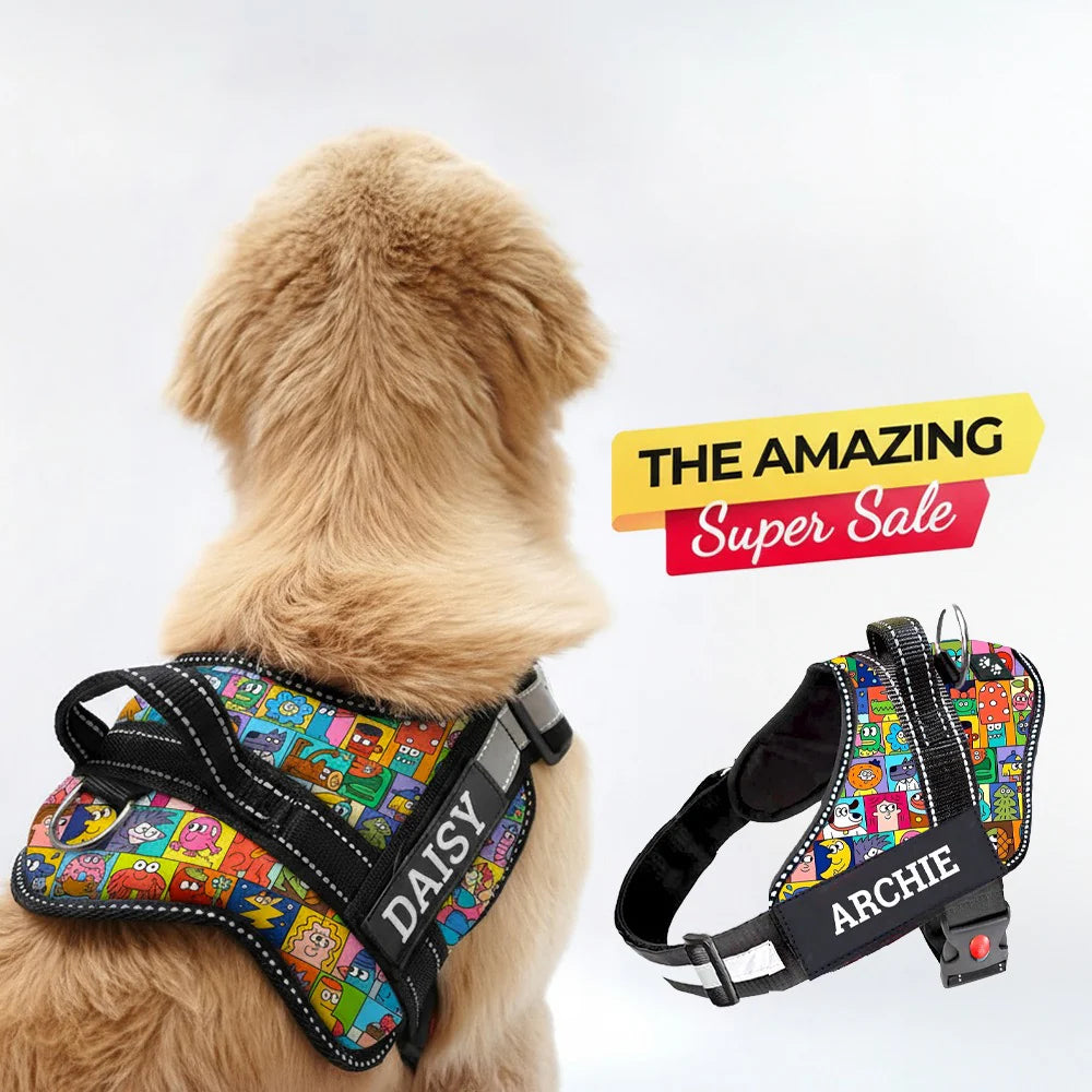 Personalized Dog Harness With Rope