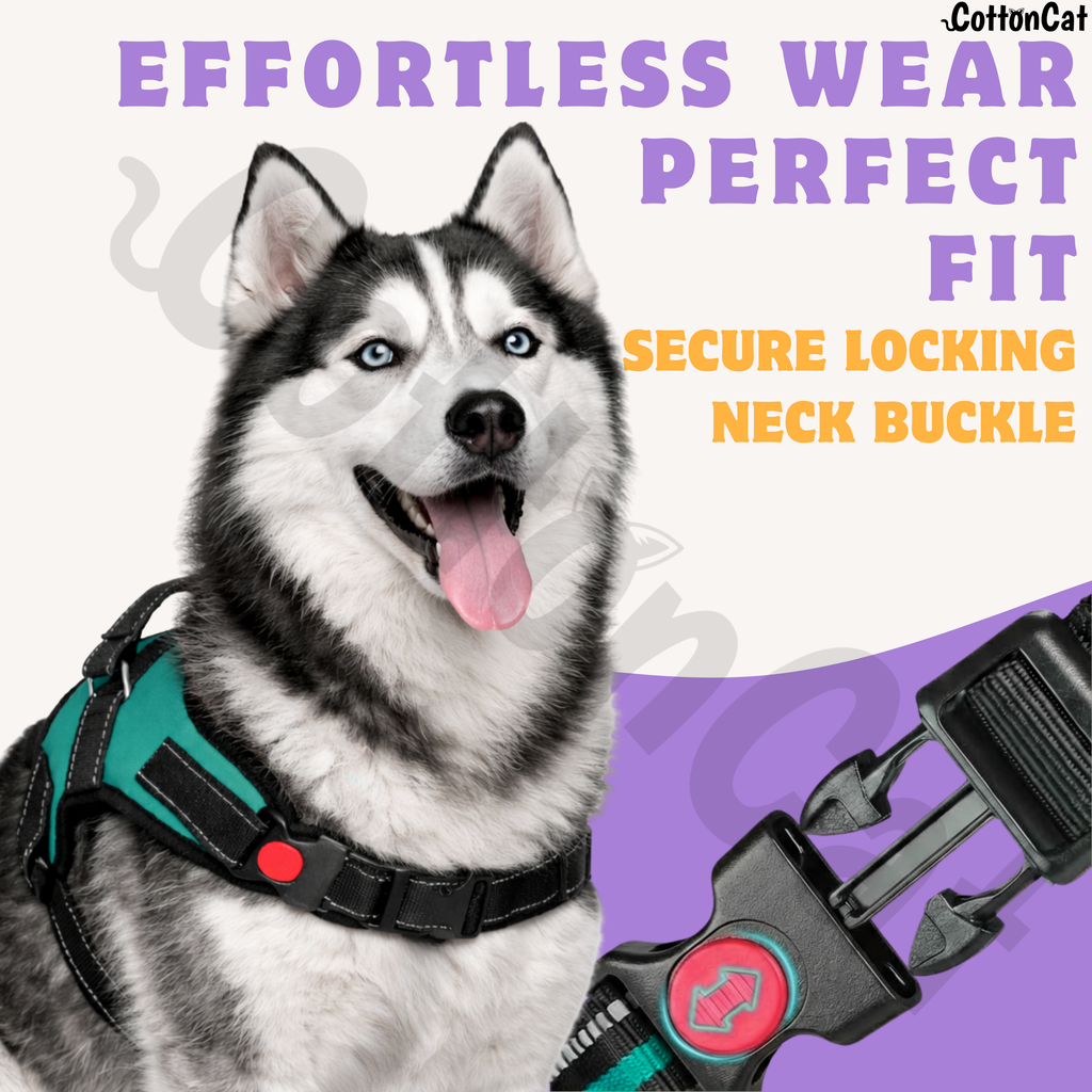 Cat Dog Reflective Harness Teal