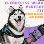 Cat Dog Reflective Harness Teal