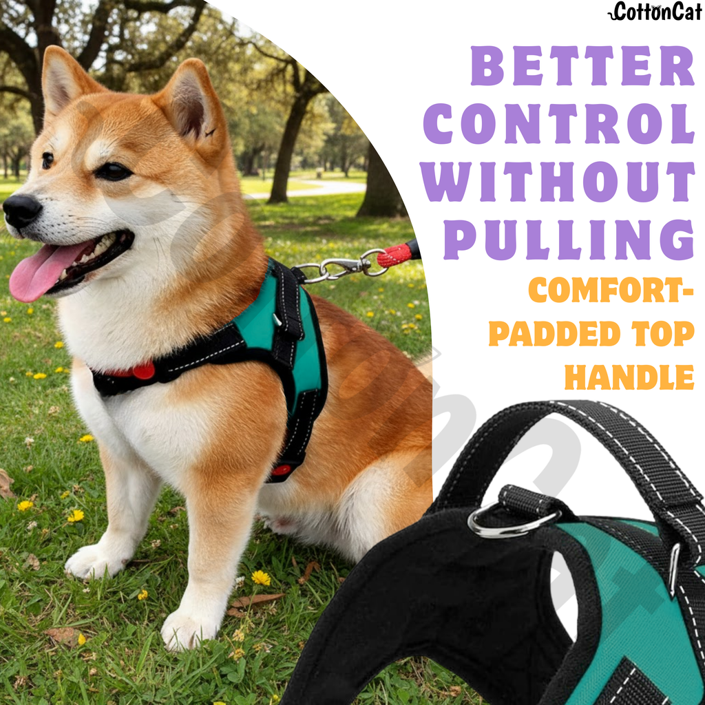 Cat Dog Reflective Harness Teal