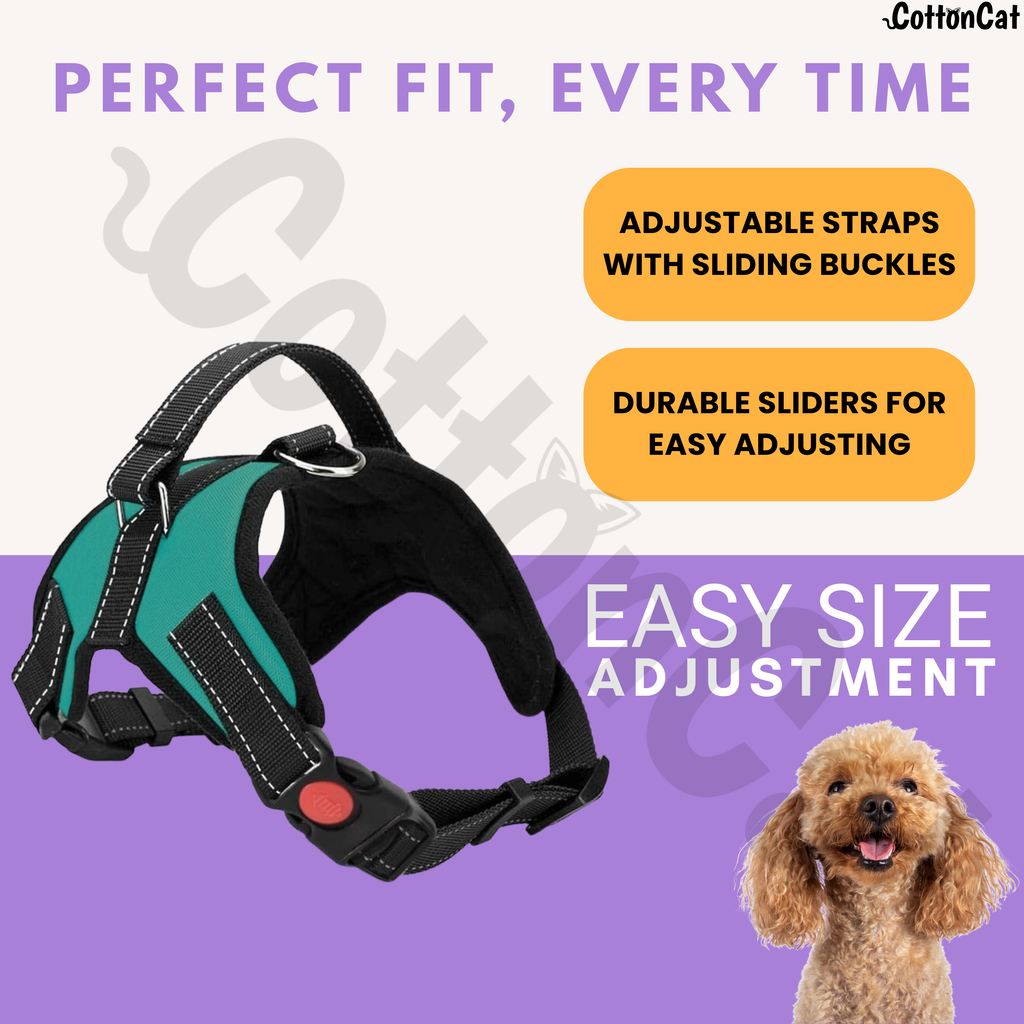 Cat Dog Reflective Harness Teal