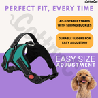 Cat Dog Reflective Harness Teal