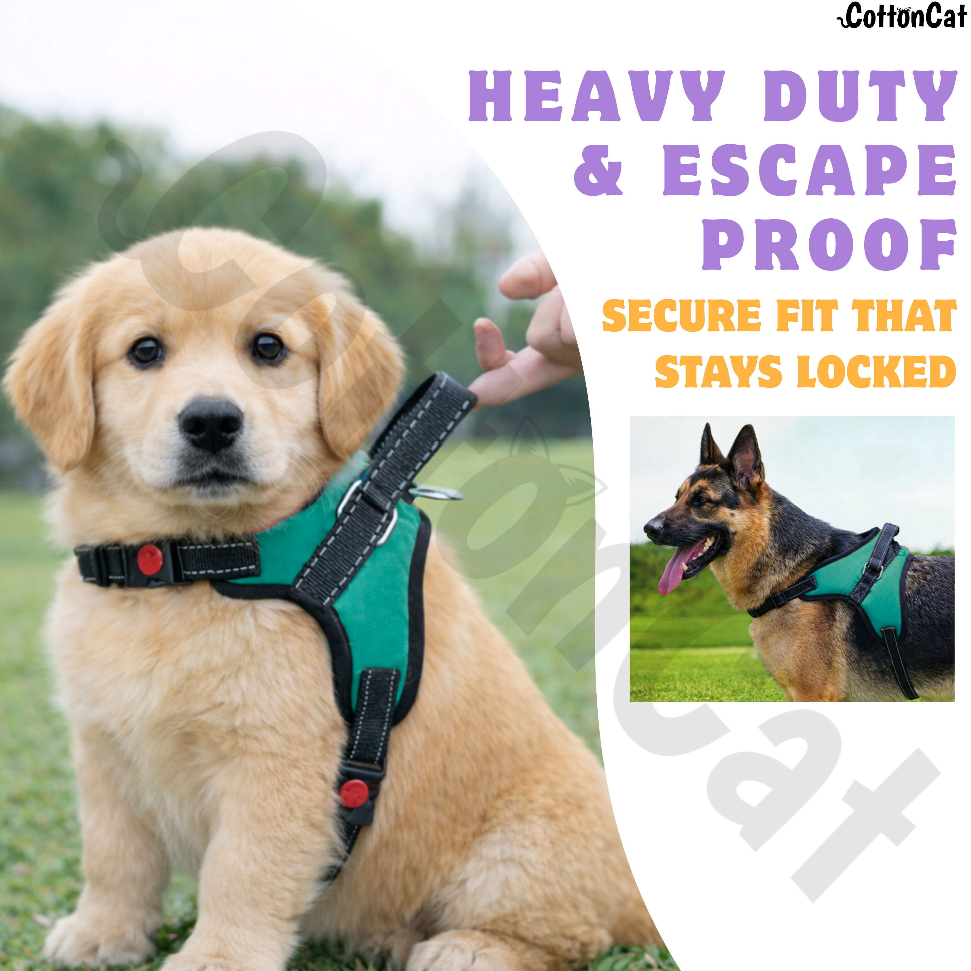 Cat Dog Reflective Harness Teal