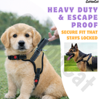 Cat Dog Reflective Harness Beige
