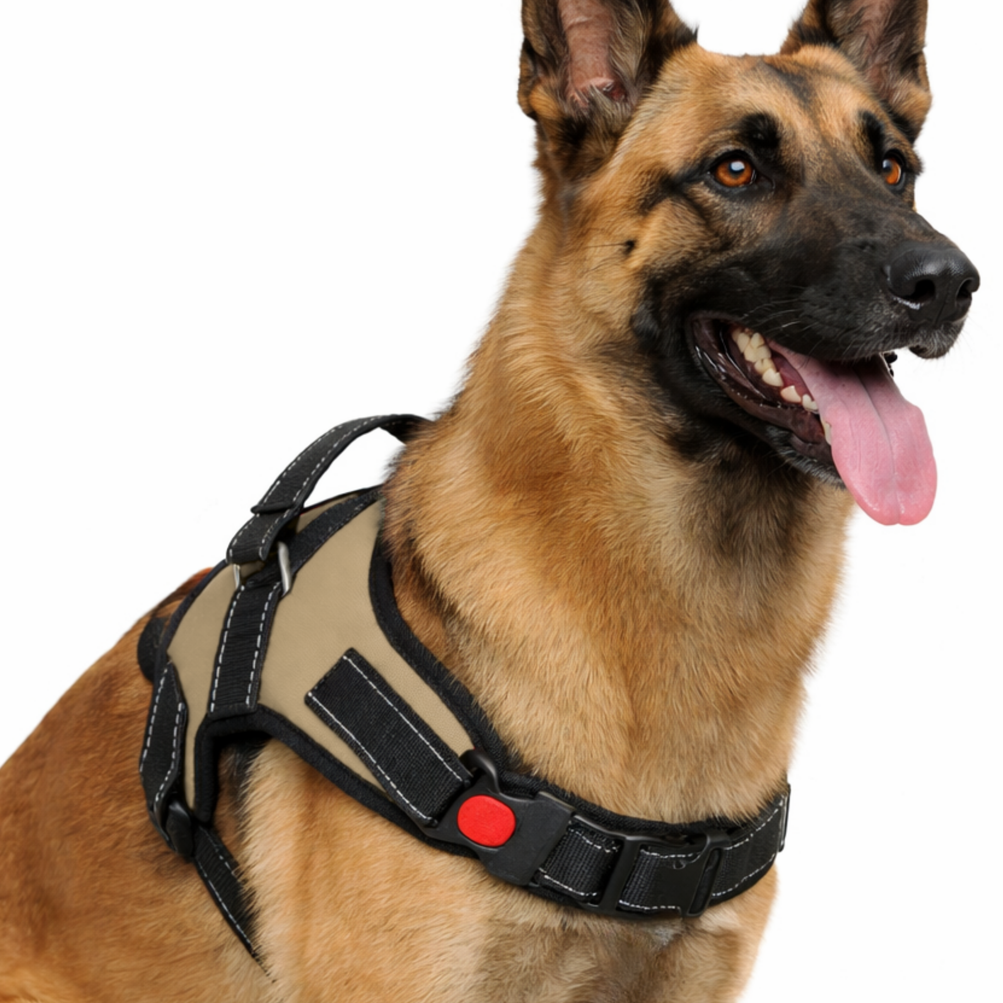Cat Dog Reflective Harness Beige