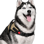 Cat Dog Reflective Harness Beige