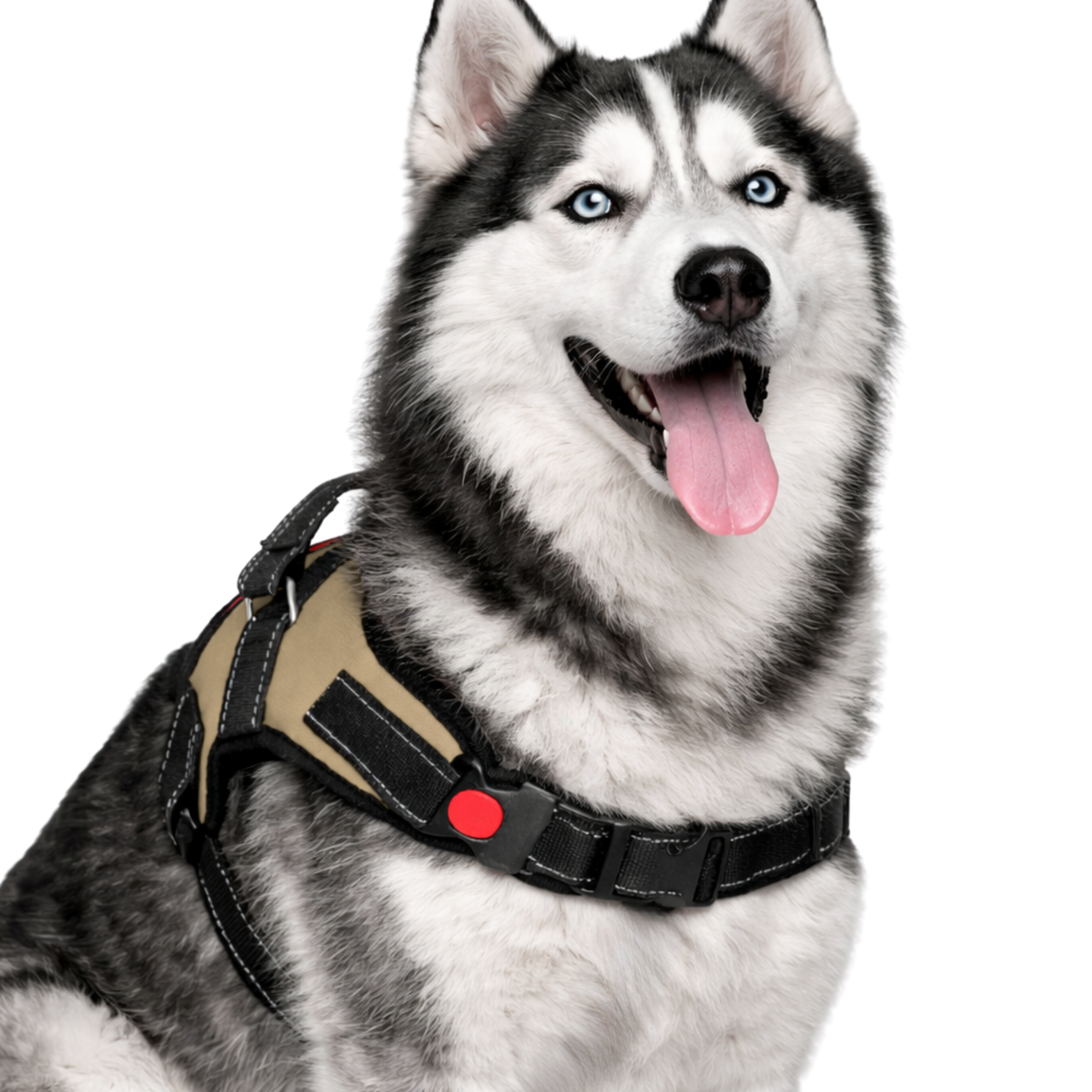 Cat Dog Reflective Harness Beige