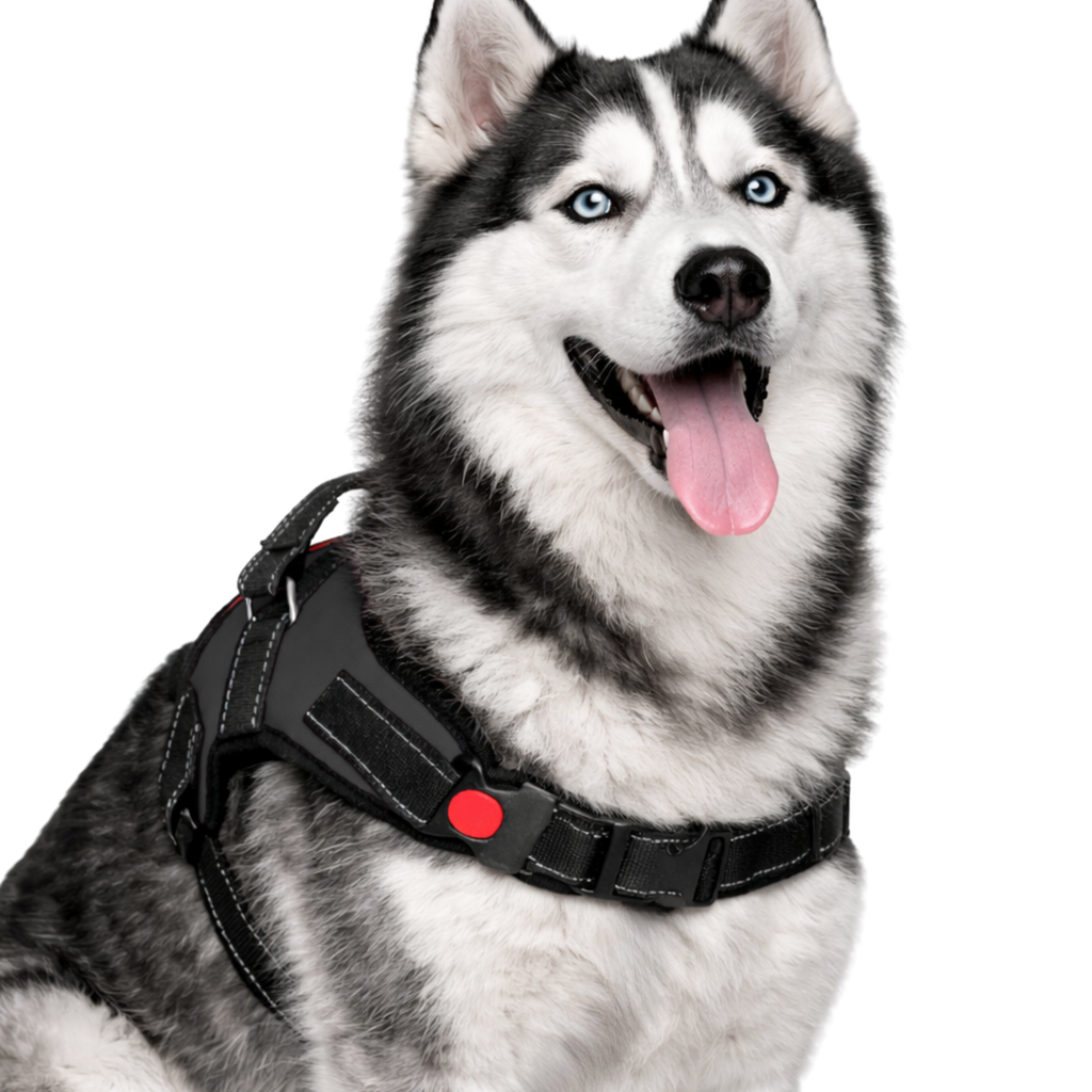 Cat Dog Reflective Harness Black
