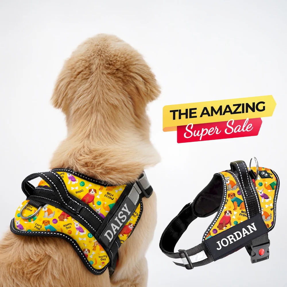 Personalized Dog Harness With Rope