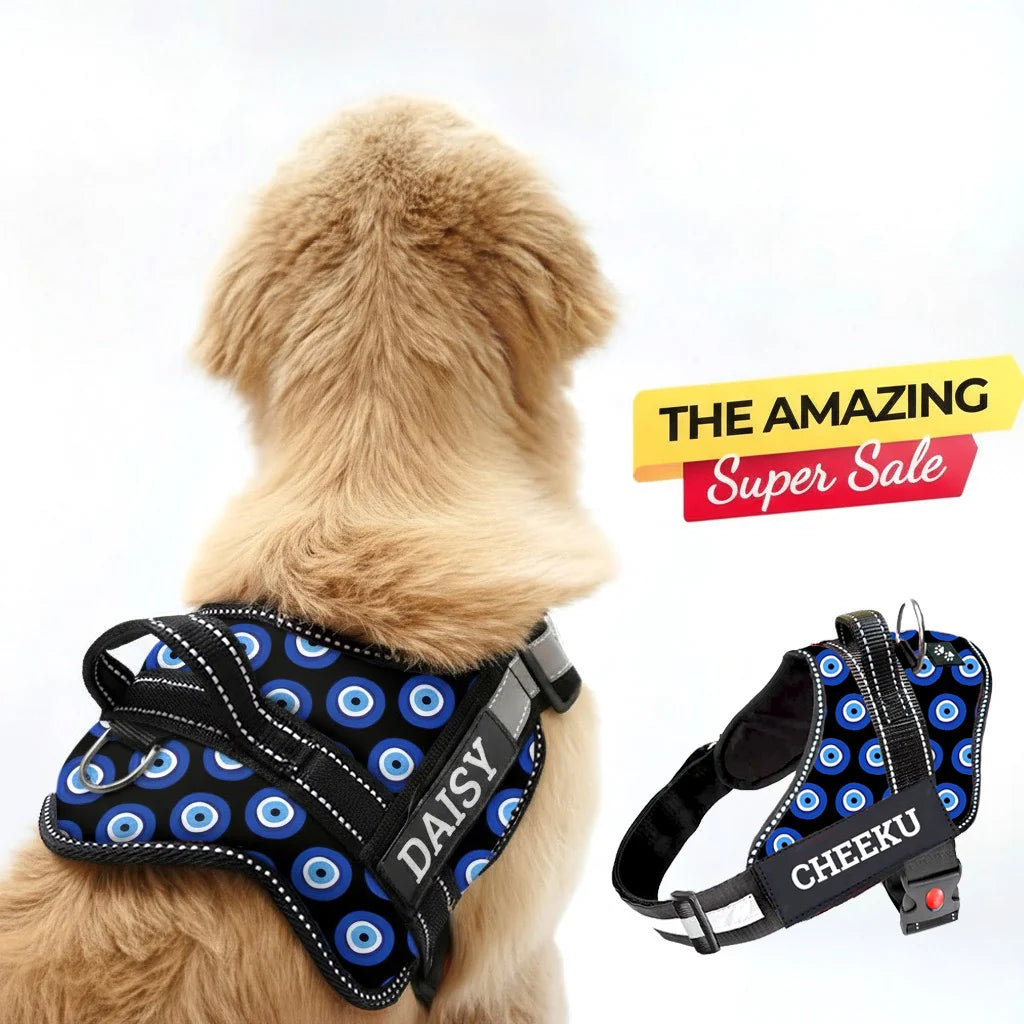 Personalized Dog Harness With Rope