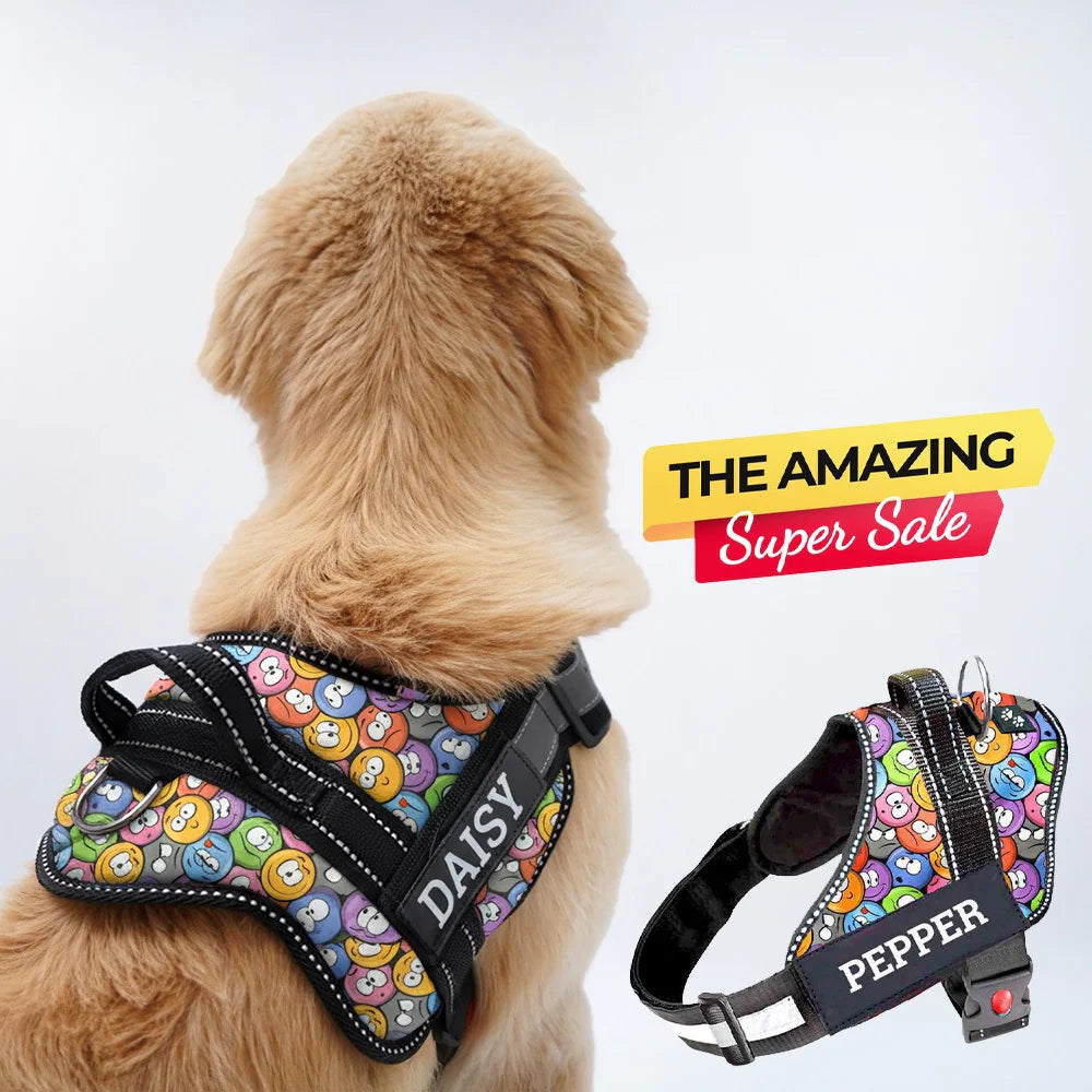 Personalized Dog Harness With Rope