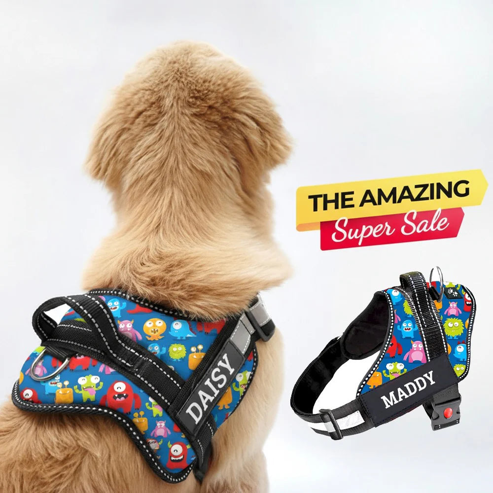 Personalized Dog Harness With Rope