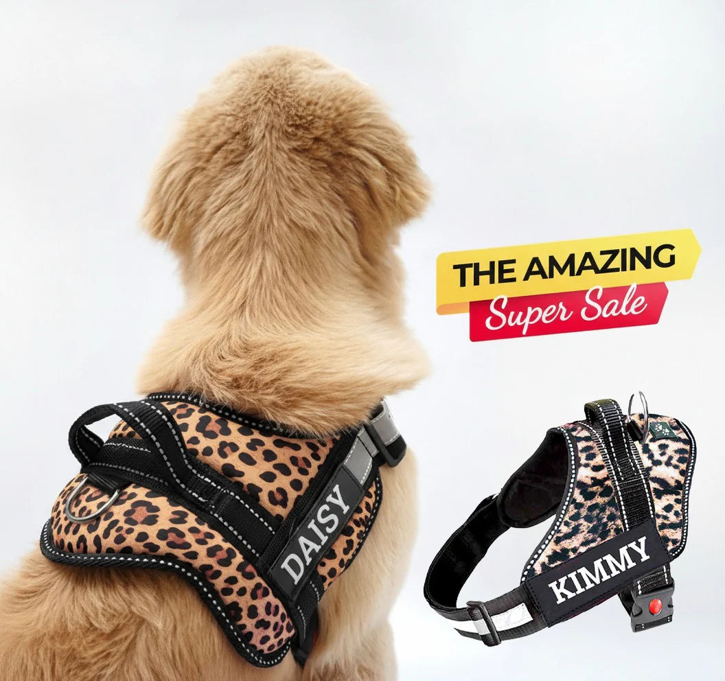 Personalized Dog Harness With Rope