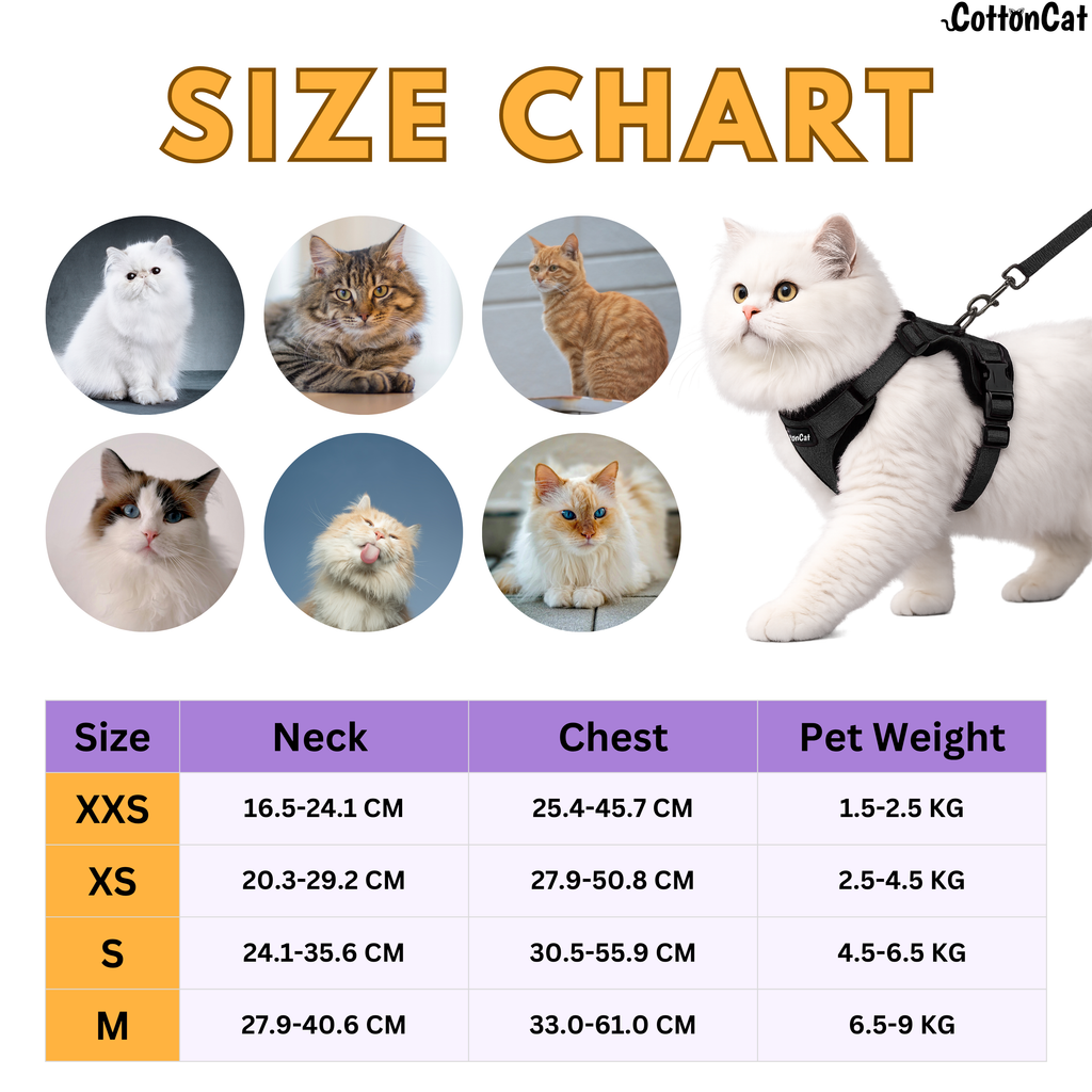 Cat Pro Harness