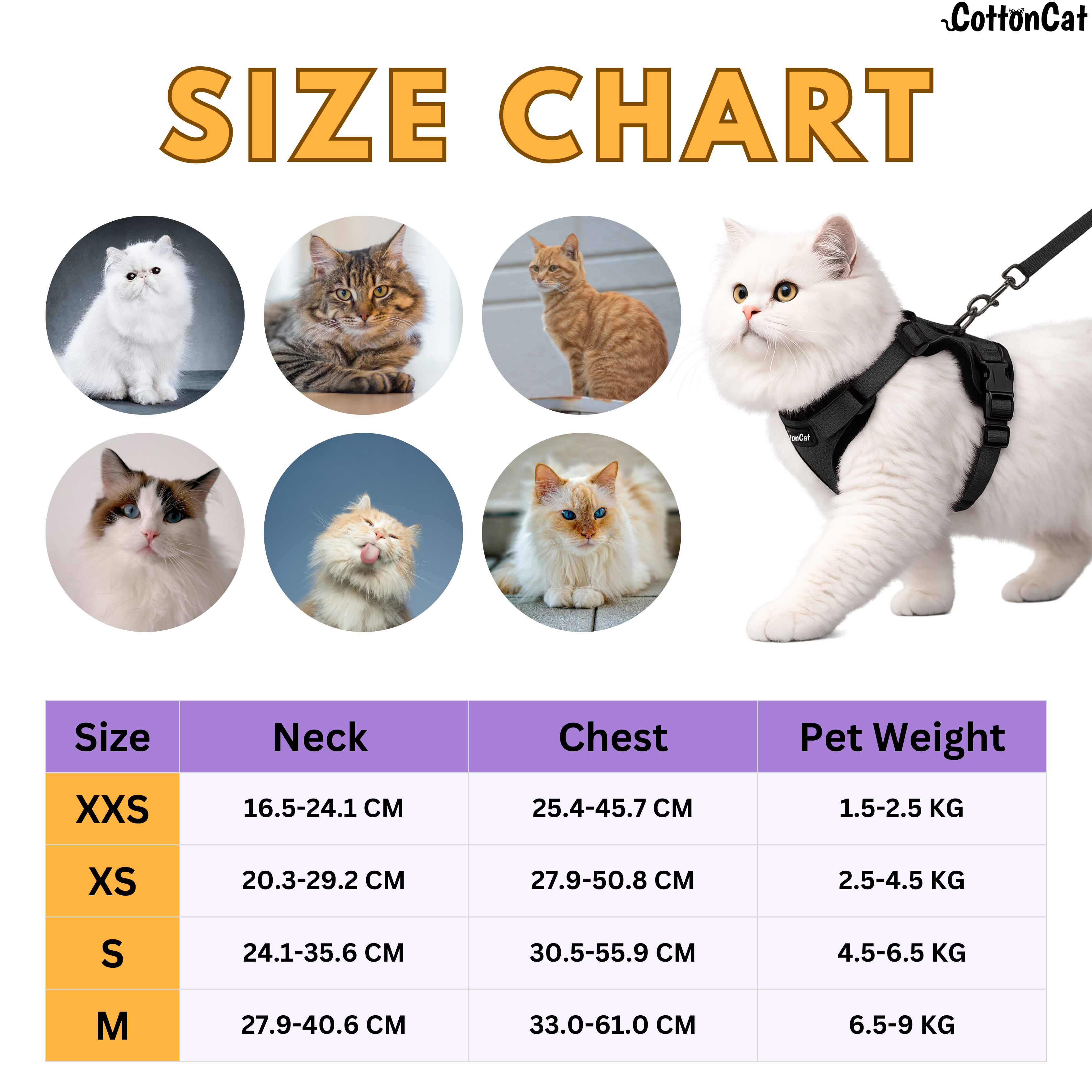 Cat Pro Harness