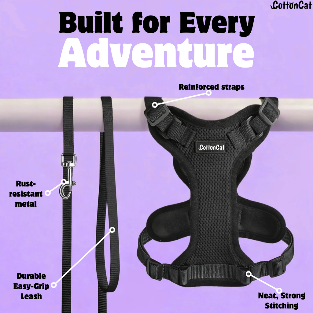 Cat Pro Harness