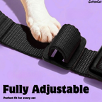 Cat Pro Harness