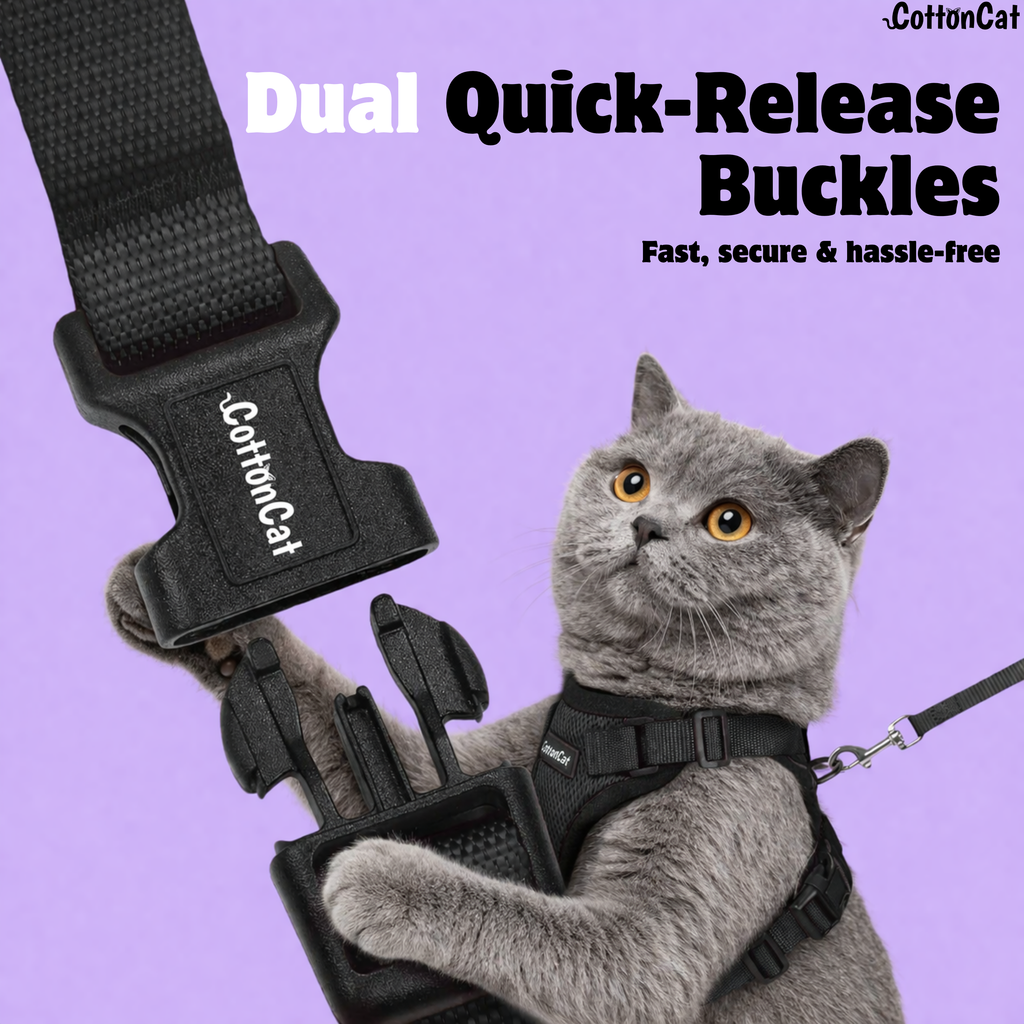 Cat Pro Harness