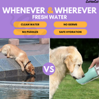 Cat Dog Bottle