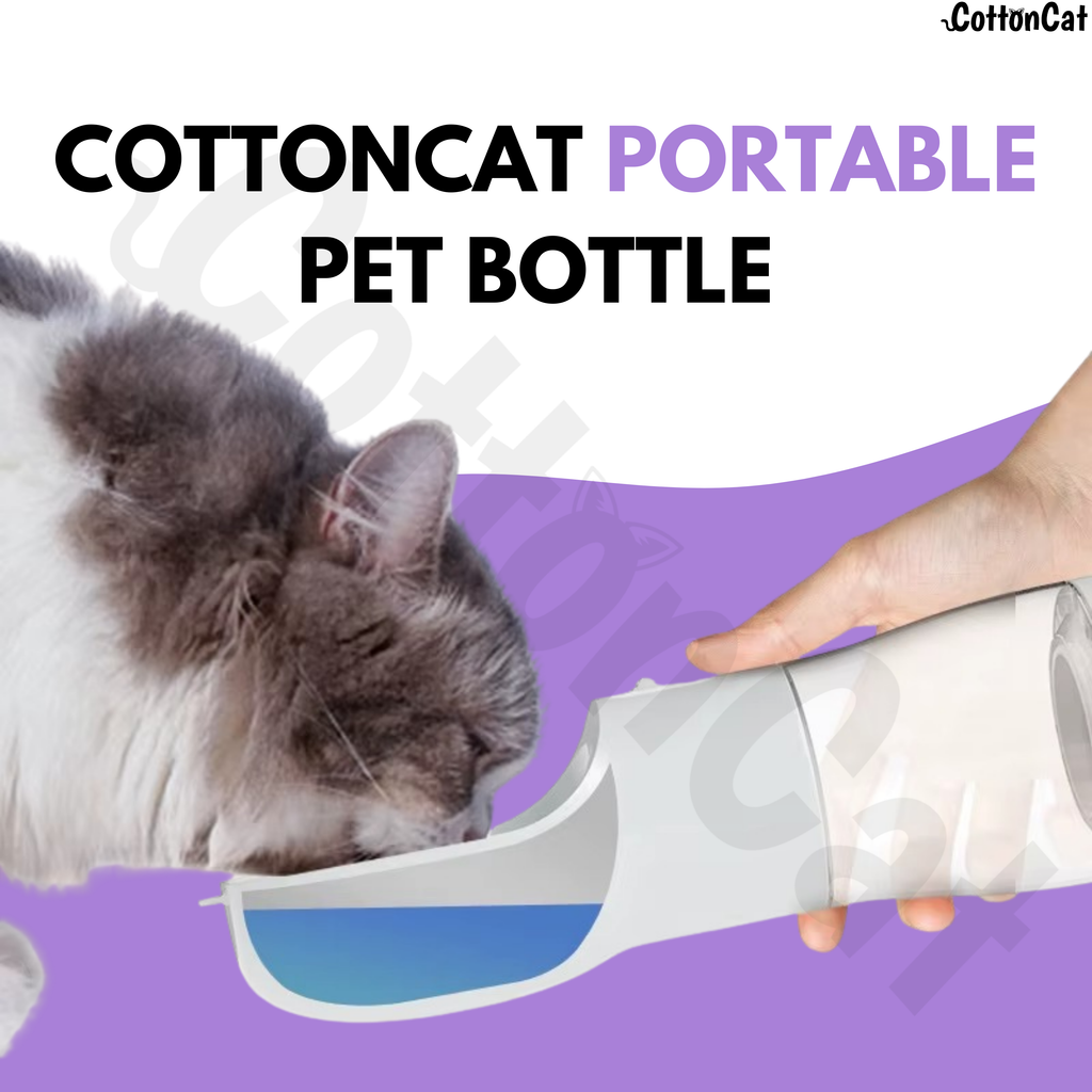Cat Dog Bottle