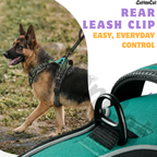 Dog Cat No Pull Harness With Reflective Leash Teal