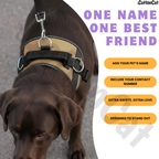 Personalized Dog Harness with Name & Phone Number Beige