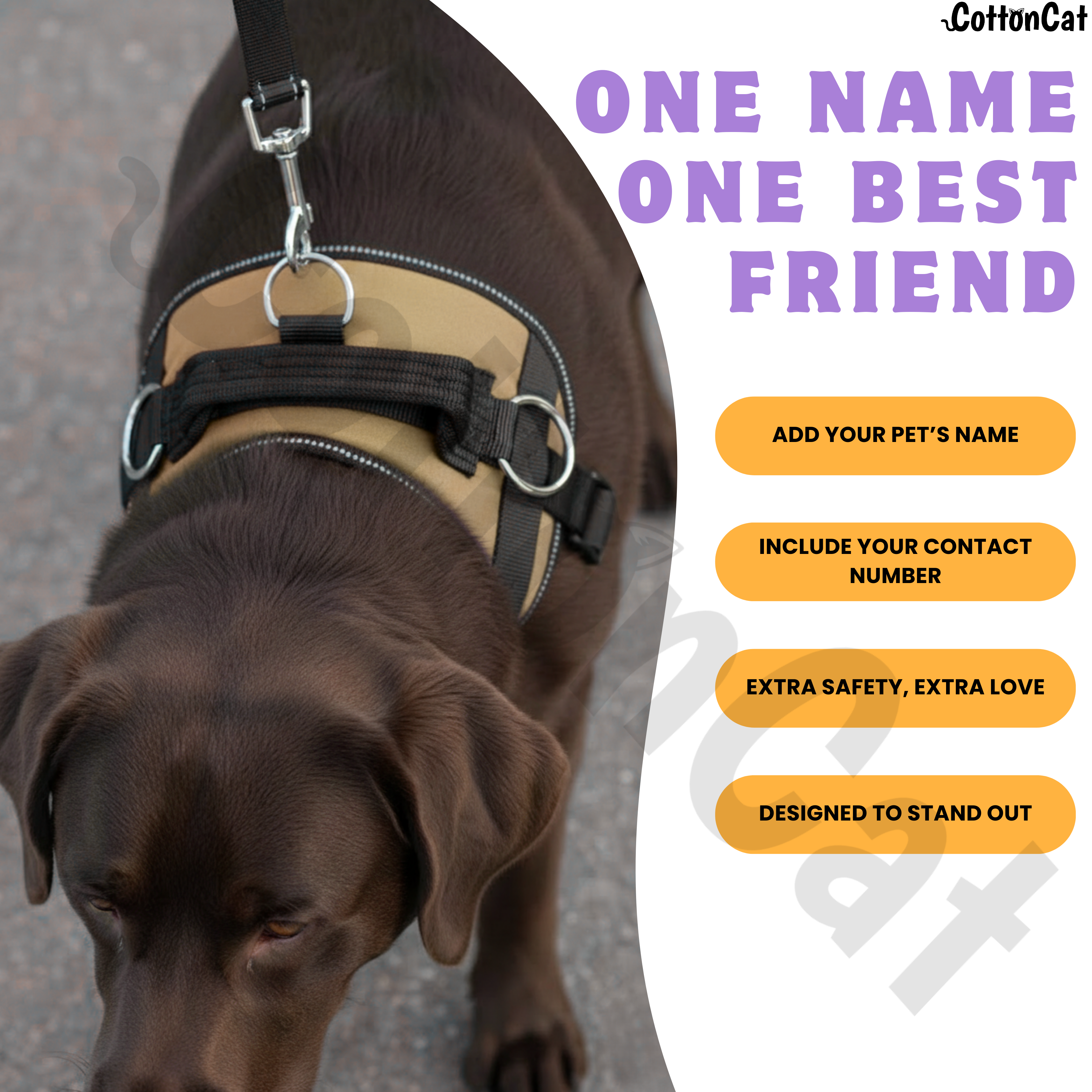Personalized Dog Harness with Name & Phone Number Beige