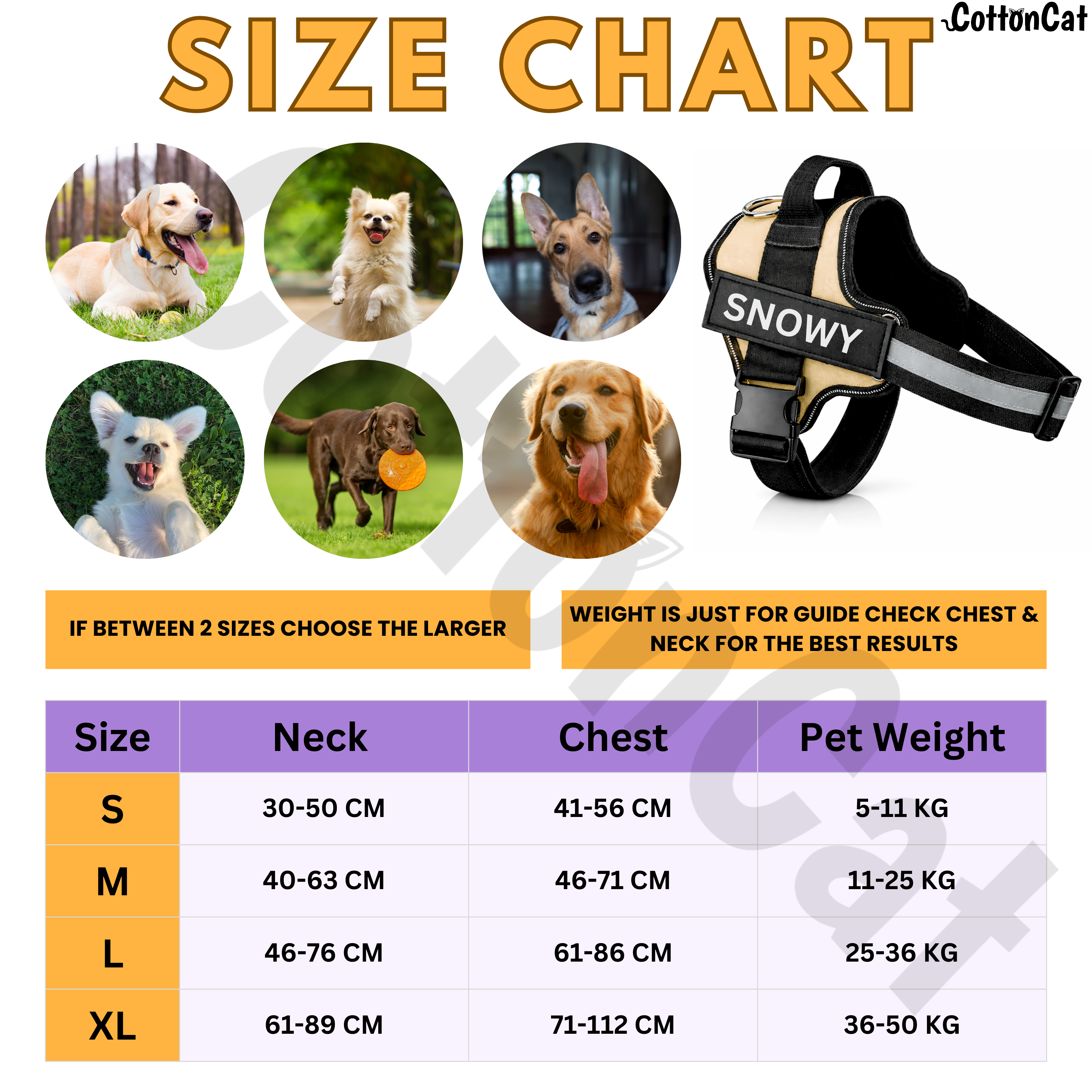 Personalized Dog Harness with Name & Phone Number Beige