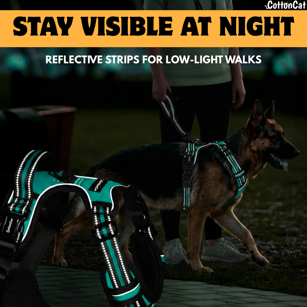 Dog Cat No Pull Harness With Reflective Leash Teal