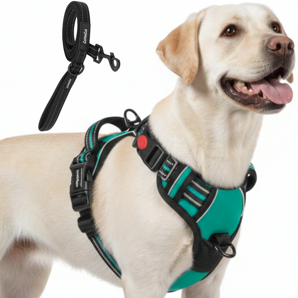 Dog Cat No Pull Harness With Reflective Leash Teal