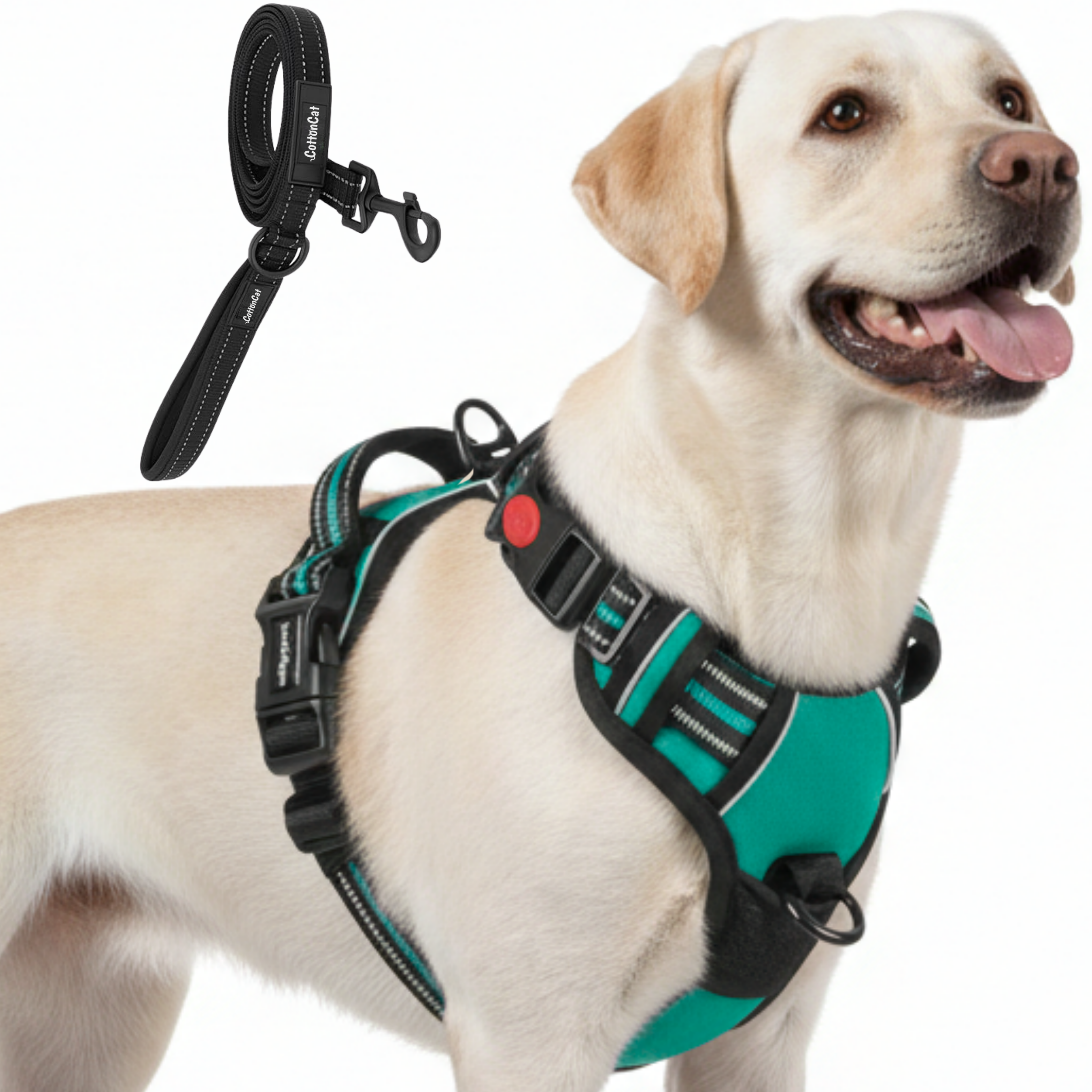 Dog Cat No Pull Harness With Reflective Leash Teal
