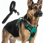 Dog Cat No Pull Harness With Reflective Leash Teal