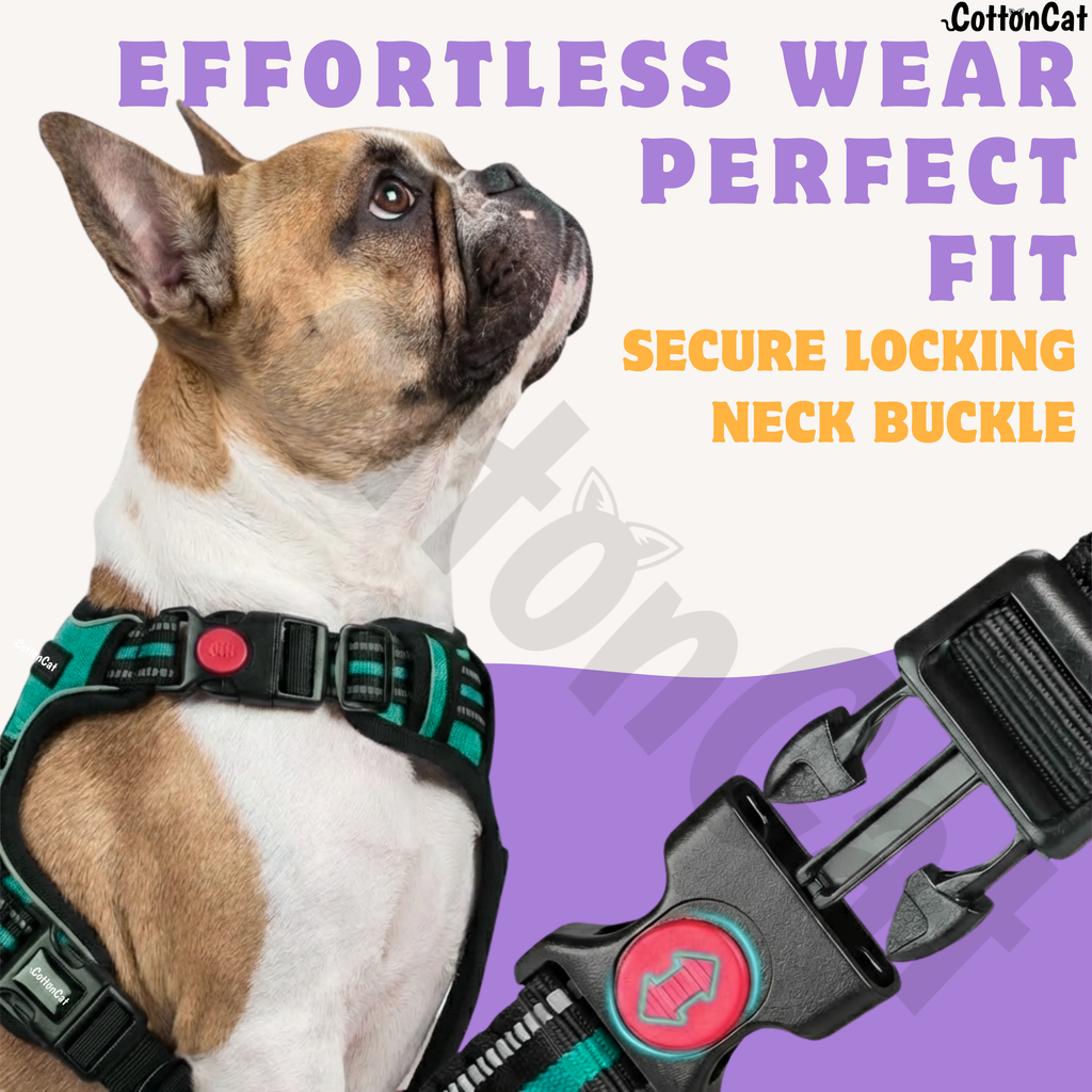 Dog Cat No Pull Harness With Reflective Leash Teal